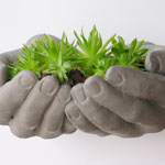 Annica Danielsson Almén