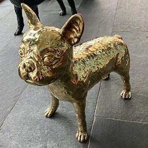 Hund & katt - temautställning med Kaleidos medlemmar och inbjudna