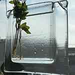 Karin André Barowiak